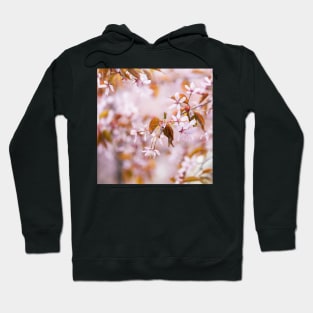 Cherry Blossom Hoodie